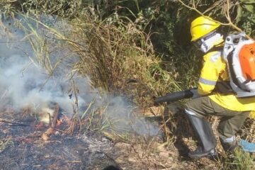 Projeto que institui o “Dia Municipal do Brigadista Florestal Voluntário” é aprovado em Monlevade