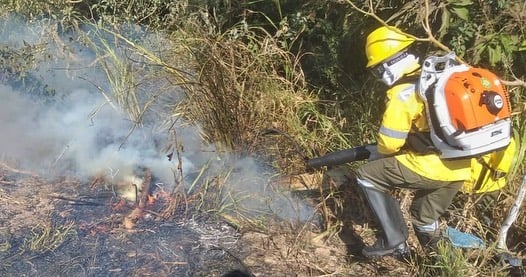 Projeto que institui o “Dia Municipal do Brigadista Florestal Voluntário” é aprovado em Monlevade