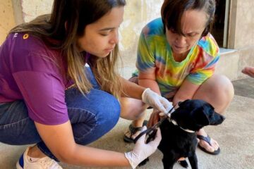 Ipatinga realiza projeto de encoleiramento de cães no bairro Esperança