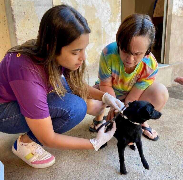Ipatinga realiza projeto de encoleiramento de cães no bairro Esperança