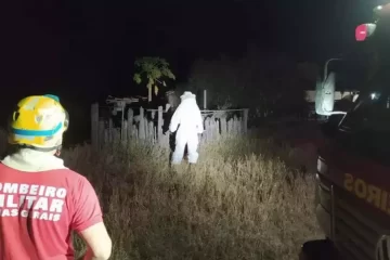 Onze pessoas são vítimas de ataque de abelhas em Minas