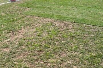 Atlético critica gramado do Mineirão: ‘Qual é a prioridade do estádio?’