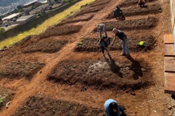 Escola Cicinha Moura inicia plantio de mudas em horta comunitária