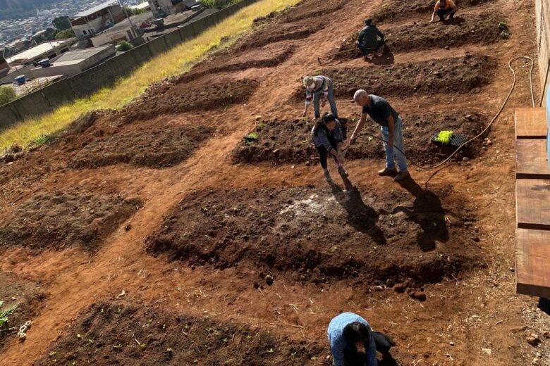 Escola Cicinha Moura inicia plantio de mudas em horta comunitária