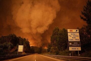 Desde o início de julho, Portugal registra mais de mil mortes relacionadas ao calor