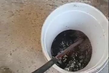 Saae: rompimento de adutora é responsável por coloração escura da água em Itabira