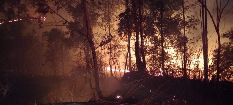 Fogo em Minas Gerais: bombeiros atendem 990 chamadas de incêndios no final de semana