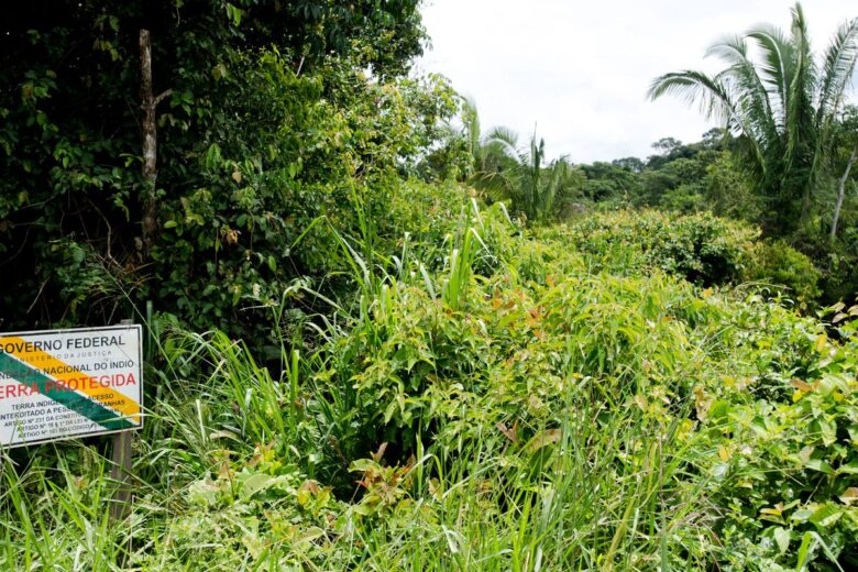BNDES avalia concessão ambiental com pagamento para conservação