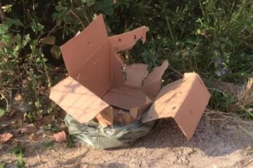 Recém-nascida é abandonada dentro de caixa em Ipatinga