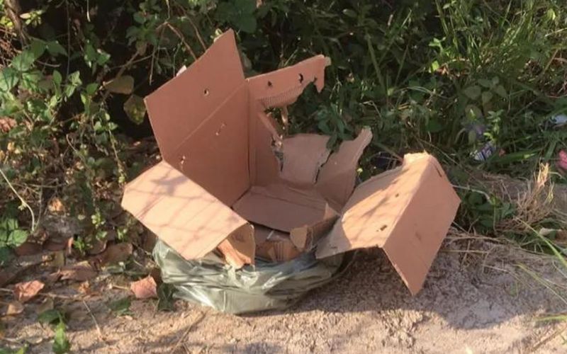 Recém-nascida é abandonada dentro de caixa em Ipatinga