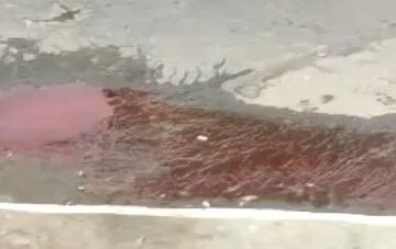 Funerária diz que não é sangue que escorreu na rua em Monlevade; veja o vídeo