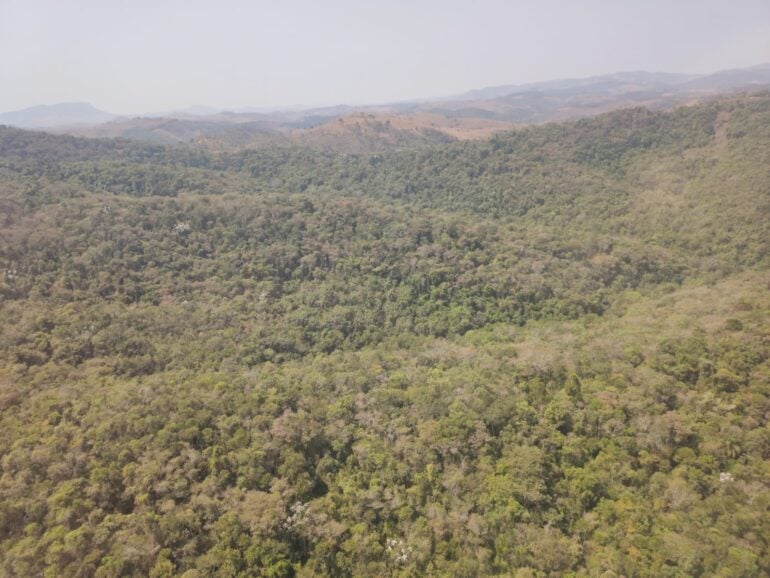 Saiba os dias e horários de funcionamento do Parque Estadual Mata do Limoeiro