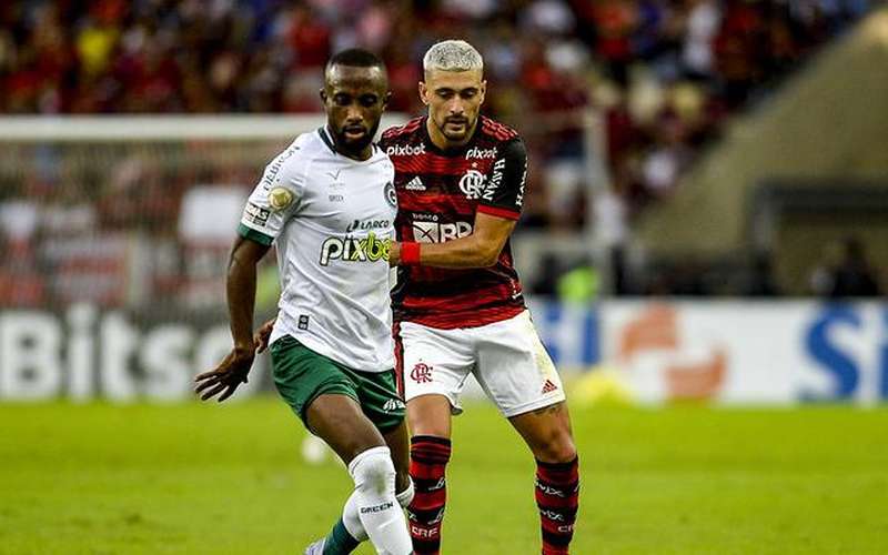 Goiás x Flamengo: onde assistir ao jogo pela Série A do Brasileirão