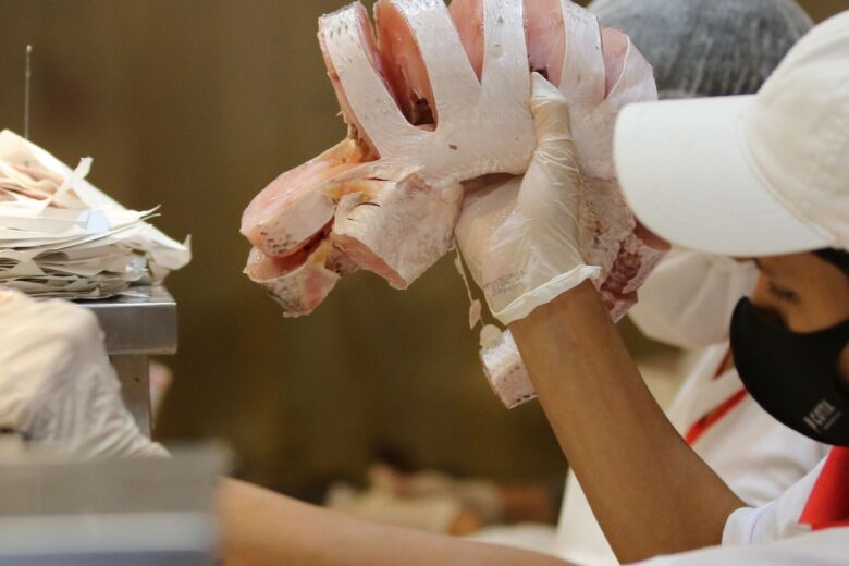 Semana do Pescado incentiva temporada de consumo no segundo semestre
