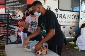Coronel Fabriciano lança programa gratuito de castração de pets