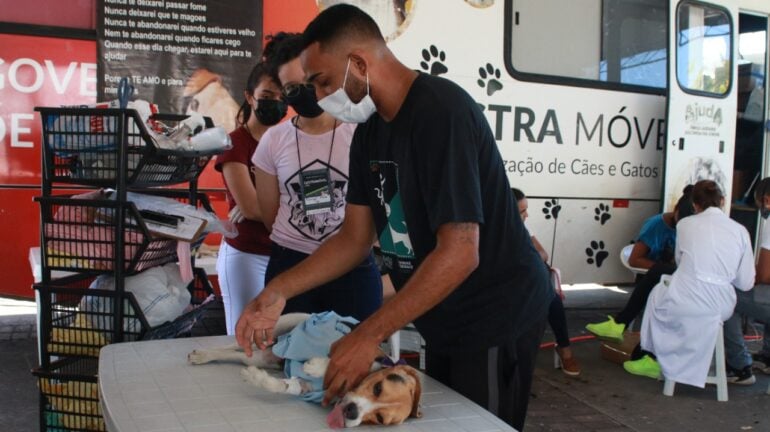 Coronel Fabriciano lança programa gratuito de castração de pets