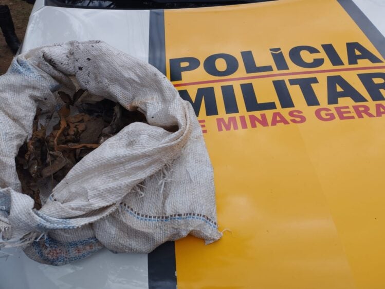Polícia Rodoviária detém autor de furto com motocicleta adulterada