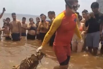 Banhistas encontram ossada humana em praia da Ponta Negra, em Manaus