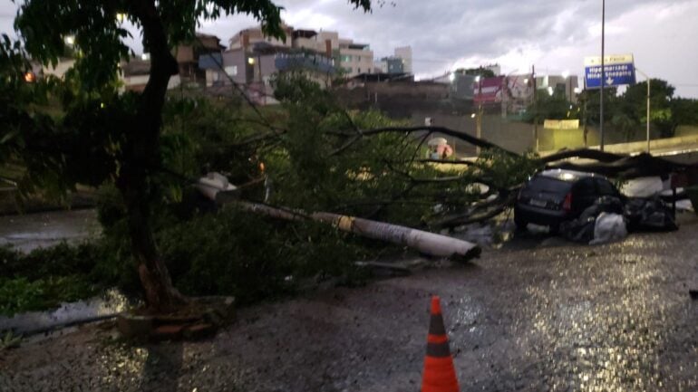 Chuva em BH: árvore cai em cima de carro e homem sofre traumatismo craniano