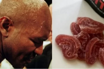 Mike Tyson e Holyfield lançam petisco de cannabis em formato de orelha