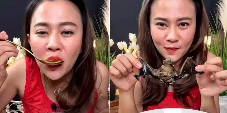 Influenciadora tailandesa pode pegar até 5 anos de prisão por comer morcego