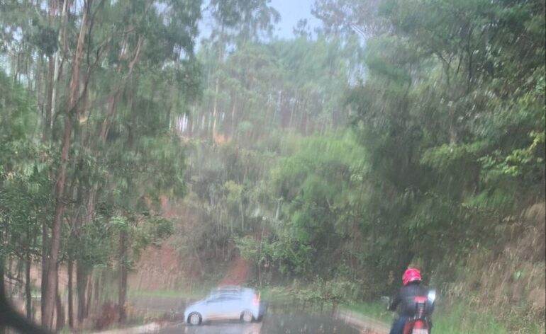 Atenção: árvores caem na Estrada do Forninho e trânsito fica prejudicado