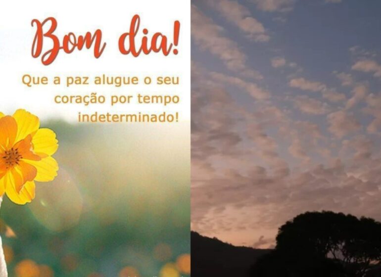 Melhor que o bom dia da sua tia no grupo do zap, a previsão do tempo da DeFato. Confira!
