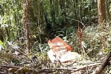 FAB lamenta morte de dois militares em queda de avião em Santa Catarina