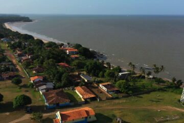 Queijo de búfala, tesouro da Ilha do Marajó, ganha mercado no país
