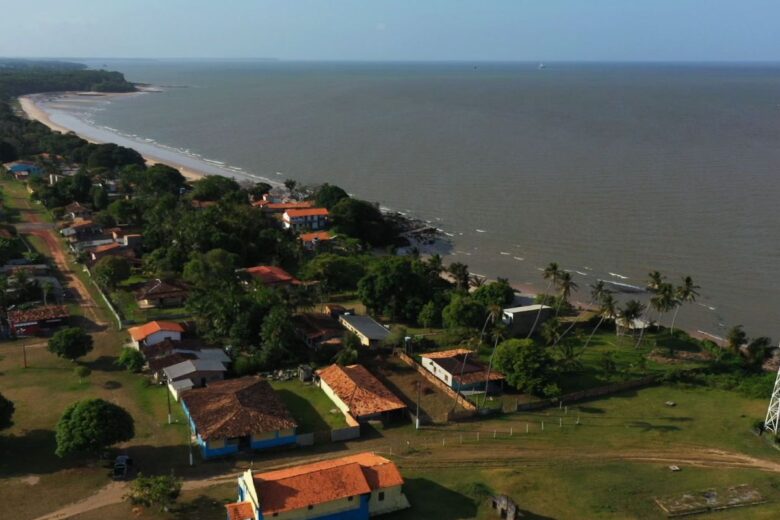 Queijo de búfala, tesouro da Ilha do Marajó, ganha mercado no país