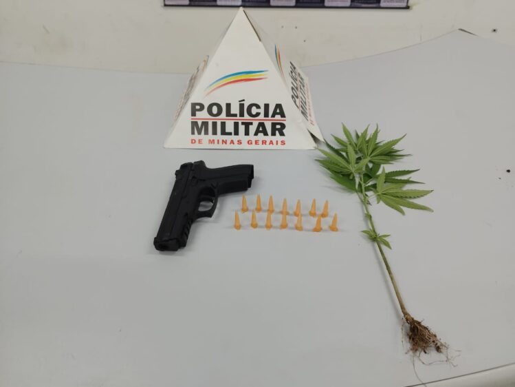 PM apreende planta da maconha e réplica de pistola em Itabira