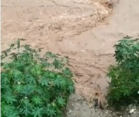 Rompimento de adutora interrompe abastecimento de água nos bairros Chapada e Boa Esperança