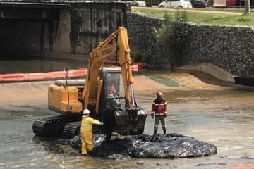 Prefeitura de BH aciona Justiça por danos ambientais na Lagoa da Pampulha