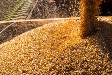 Exportações do agronegócio batem recorde em janeiro