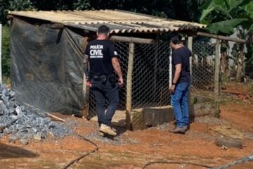 Mulher é presa após filmar gato sendo atacado por cães rottweiler