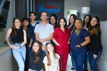 Tecnologia, inovação e cuidado: conheça o Hospital Animal de Itabira