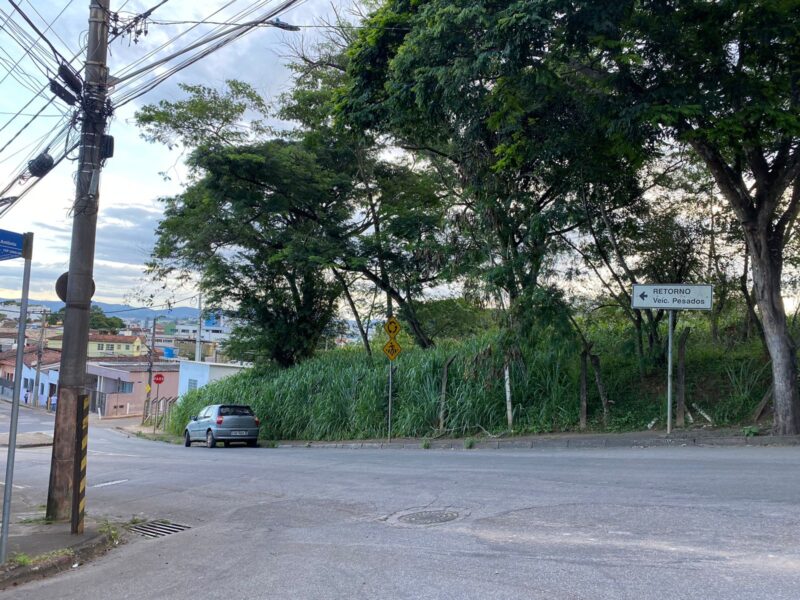 Itabira: moradores da Vila Paciência encontram cobras em casa; lotes no bairro estão tomados pelo mato