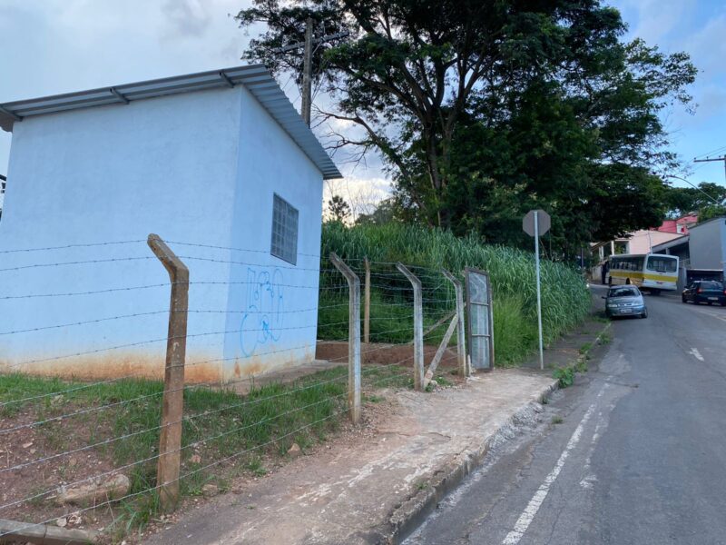 Itabira: moradores da Vila Paciência encontram cobras em casa; lotes no bairro estão tomados pelo mato