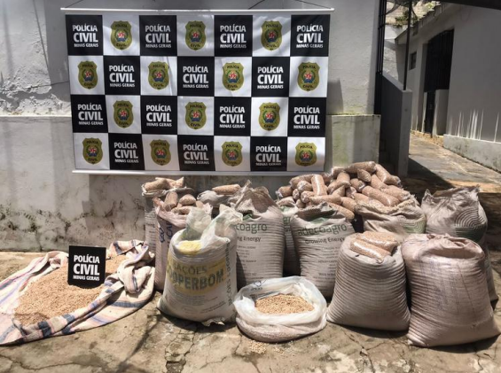Homem é preso com 800 quilos de feijão em cidade mineira