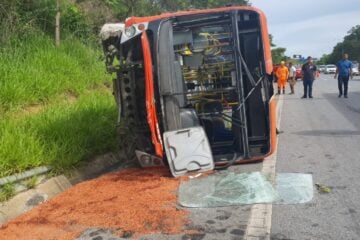 Inseto atinge motorista que perde controle e ônibus capota na MG-010