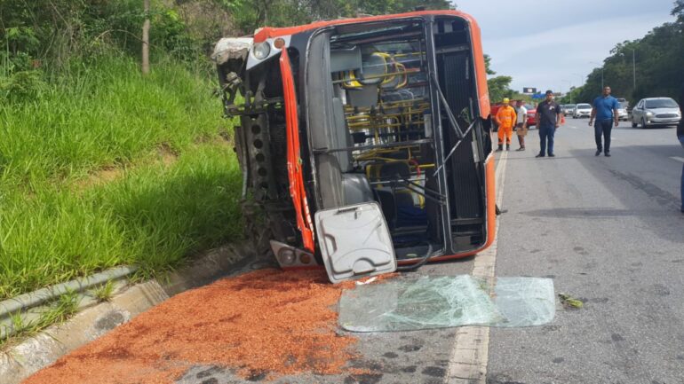 Inseto atinge motorista que perde controle e ônibus capota na MG-010