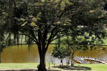 Prefeitura do Rio concede sete parques públicos à iniciativa privada