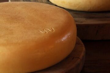 Queijo Minas Artesanal da Canastra é eleito 12º melhor do mundo