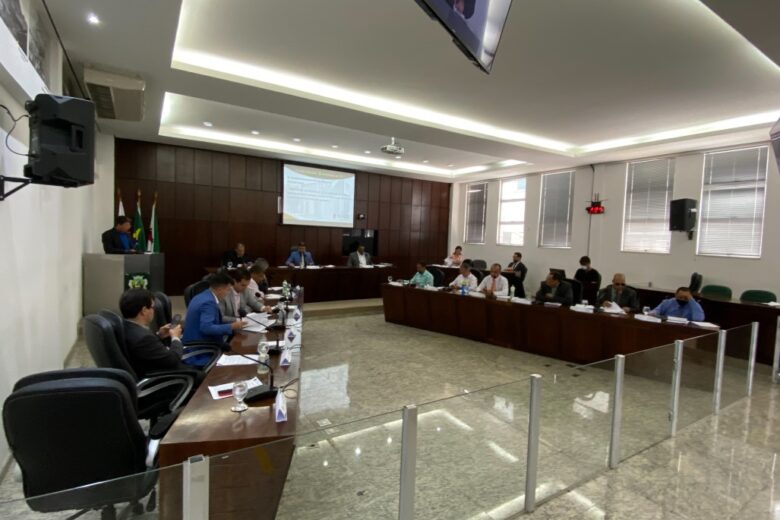 Projeto que busca ajudar ONG’s é aprovado em Monlevade; entenda