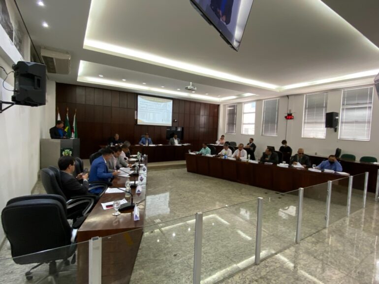 Projeto que busca ajudar ONG’s é aprovado em Monlevade; entenda