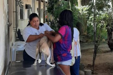 Prefeitura de Ipatinga realiza mutirão de teste rápido de leishmaniose visceral neste sábado (4)