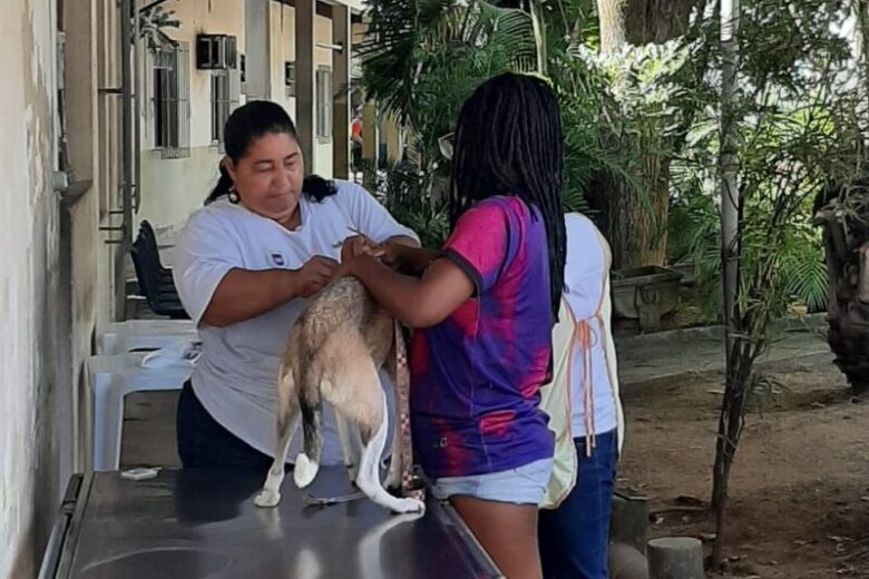 Prefeitura de Ipatinga realiza mutirão de teste rápido de leishmaniose visceral neste sábado (4)