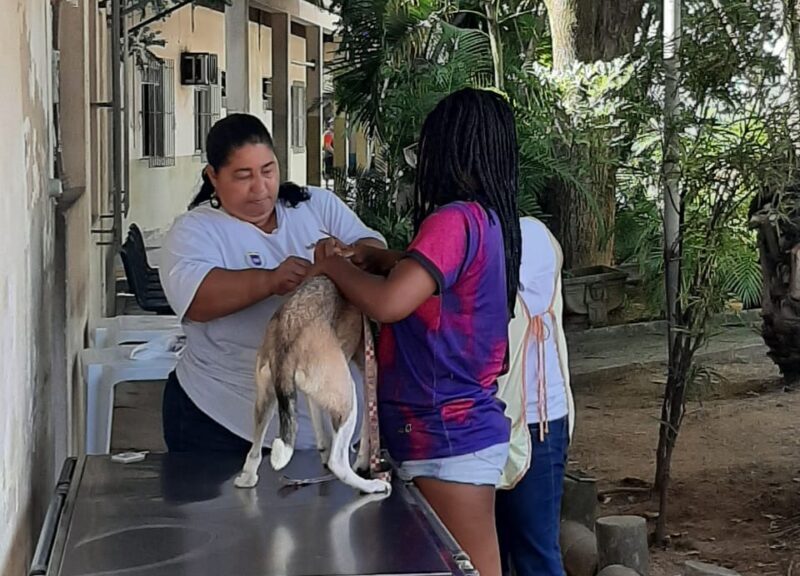 Prefeitura de Ipatinga realiza mutirão de teste rápido de leishmaniose visceral neste sábado (4)