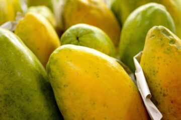 Governo prorroga prazo para cadastro na Agricultura Familiar