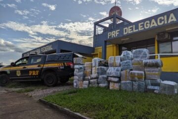 Polícia apreende mais de uma tonelada de maconha na Grande BH